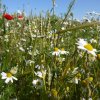 Ostsee_06