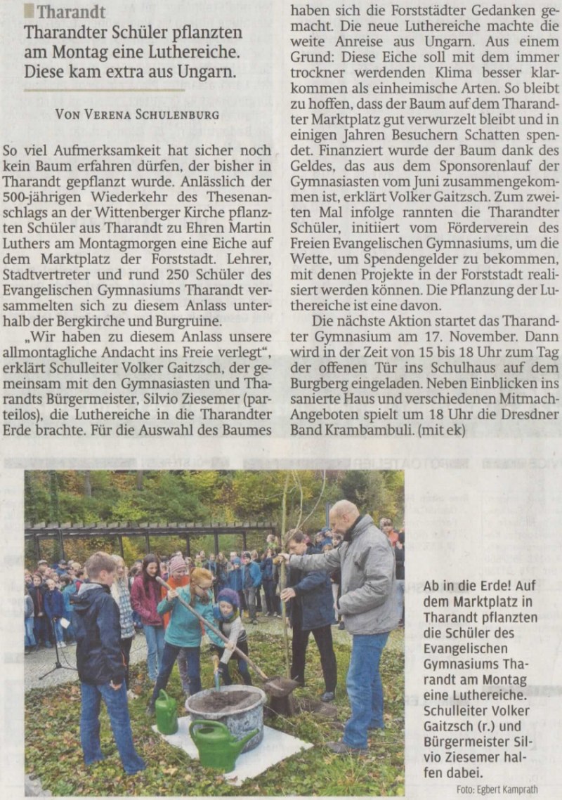 Artikel Luthereiche