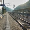 Querxenland_1
